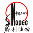 中國(guó)石化勝利油田